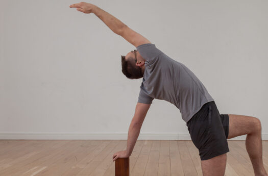 zoga multidimensional movement