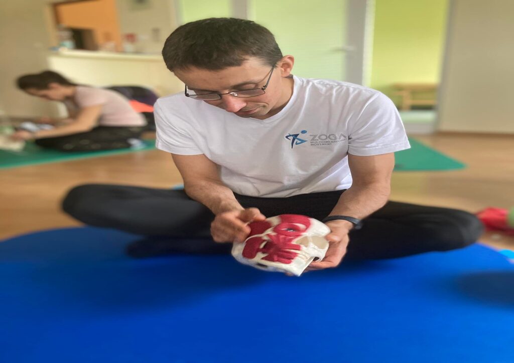 Integracja strukturalna czaszki