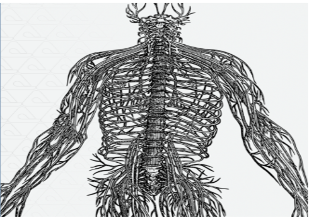 terapia nerwu blednego